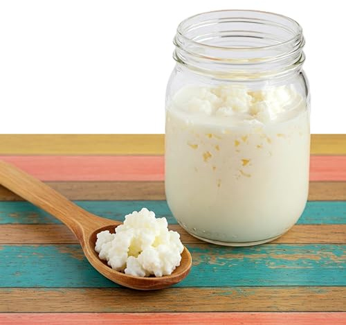 Kefir, Milk Kefir Grains, Milk Kefir Starter Grains, DIY Fermented Probiotic Drink, Works with Whole Milk, Almond Milk, Goat Milk, Coconut Milk