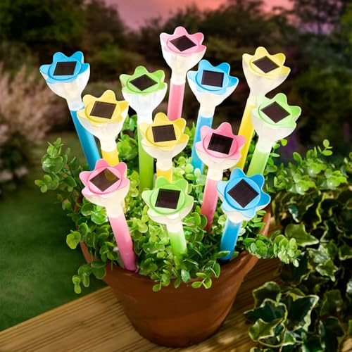 Coopers of Stortford - Set of Twelve Solar Flower Stake Lights for Garden Paths and Flowerbeds - Outdoor Warm White LED Lights, 30cm