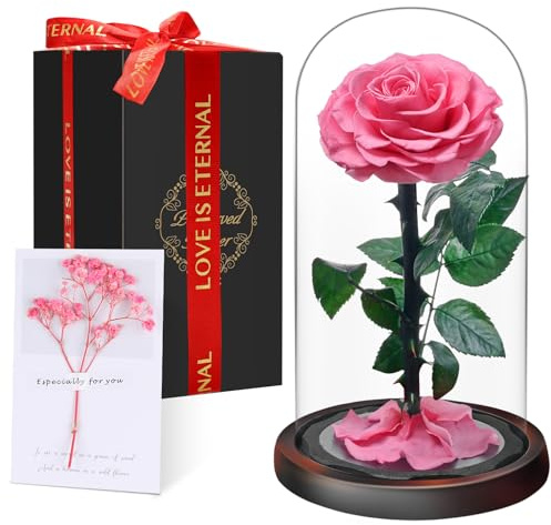 Premium Ewige Rose im Glas mit Geschenkbox | Echte konservierte Blume in Handarbeit für 5 Jahre | Einzigartiges Geschenk für Frau, Mama als Liebesbeweis zu Valentinstag, Muttertag, Weihnachte, Rosa