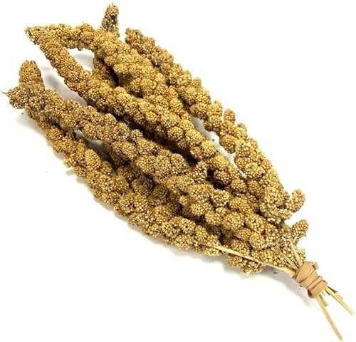 Millet Sprays x 6 Premium Cage Bird Food Seed