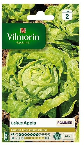 Vilmorin 3600142 Pack de Graines Laitue Pommée Appia