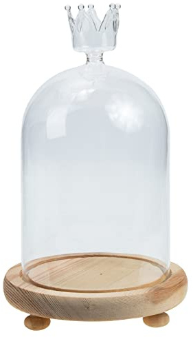 Milisten Dekorativer Glasdome Mit Holzbasis Für Haltbare Blumen Elegante Glasglocke Für Tischdekoration Und Garten Für Romantische Akzente Im Zuhause Oder Büro