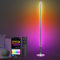 Hzitcigm LED Lámpara de Pie, WiFi RGBCW Regulable Lampara de Pie Salon Funciona con Alexa/Google Home y App, Moderna RGB Luz Ambiental de Esquina Inteligente Lampara con Remoto para Dormitorio, 147CM