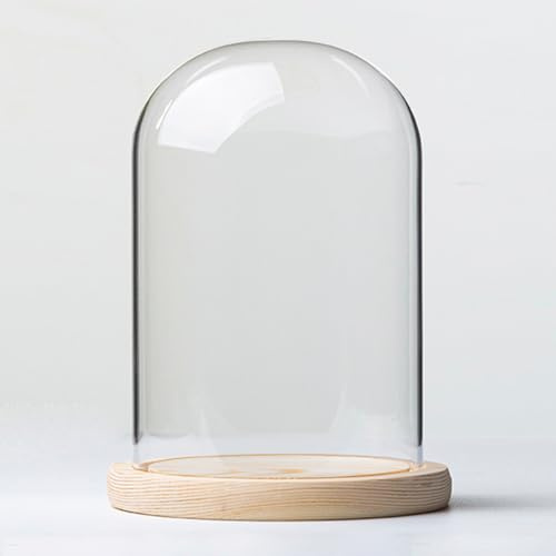 DuvinDD Cloche dôme en verre avec base en grain de bois décoratif transparent pour plantes Pop Labubu - 18 cm de hauteur