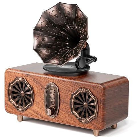 COLSUR Retro Bluetooth Vintage FM Radio unterstützt TF-Karte/AUX/USB tragbarer kabellos für iPhone Android 10W Lautsprecher Bluetooth 5.4 1800 mAh