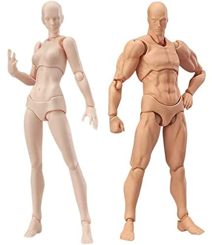 Niukuyu Body Doll, Artistes, manichino Blockhead, manichino articolato, disegno figure insieme + donna (colore della pelle)