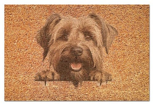 Yelolyio Briard extra tjock halkfri kokosdörrmatta härlig hund entré välkommen kokosmatta för uteplats, ytterdörr dekorativa kokosdörrmattor 40 x 60 cm