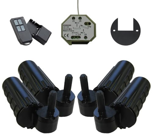 Double motorisation pour volet 2 battants SLID'UP URANUS radio - gond Ø 12 mm