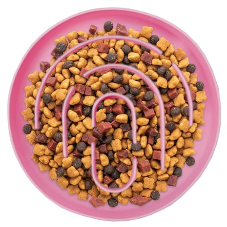 Bol À Croquettes Antiglouton pour Chat,Gamelle Anti-Glouton pour Chiot Et Petites Races - Gamelle Ronde Antidérapante pour Nourriture Animaux - Intérieur, Salon, Balcon, Chambre