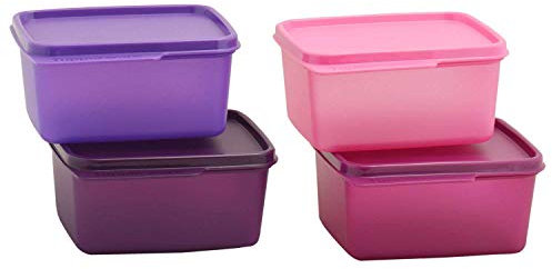 Tupperware Tupin Keep Tab Plastic Container Set (500 ml, Multicolour) -Set of 4