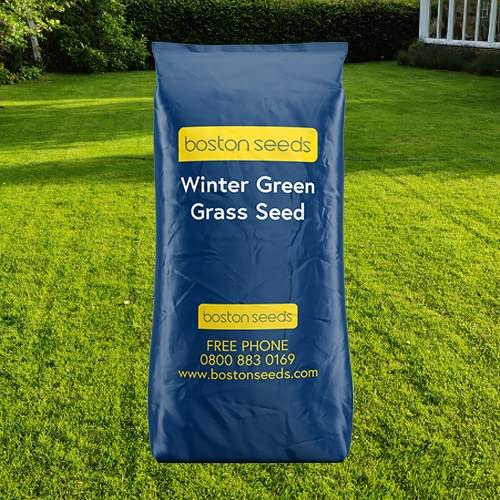 Boston Seeds Winter Grass Seed (2kg) - Fast Growing Grass Seed, Rapid Germination Lawn Seed in Low Temperatures (5°+). Winter Garden Seeds.