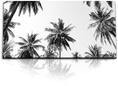 Paul Sinus Kunstdruck Bilder 120x60cm Palmen Palmblätter Schwarz Weiß Himmel Kunstvoll