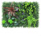 HEIBTENY Seto de hojas de césped verde artificial cuadrado de plástico para decoración de pared interior y exterior, decoración de pared del hogar