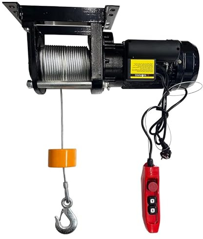 Dragon Winch - Treuil à Câble Électrique 600kg 2.2KW 220V | Palan Électrique 300 / 600kg - double avec Télécommande Filaire & Câble Acier 30m - Idéal pour Atelier, Entrepôt, Bricolage, Construction