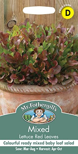 Mr Fothergill's 10564 Vegetable Seeds, Mixed Lettuce Red Leaves