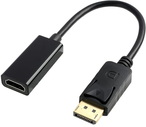 Riybyds 1080P 60Hz 25cm Adattatore DisplayPort a HDMI, Convertitore da DP Maschio a HDMI Femmina, Trasduttore unidirezionale,Compatibile Laptop, Desktop, Schede Grafiche