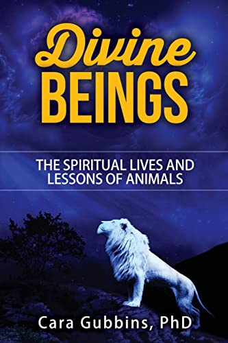 Divine Beings: The Spiritual LIves and Lessons of Animals (Teachings from Animal Totems and Spirit Guides, Band 3)