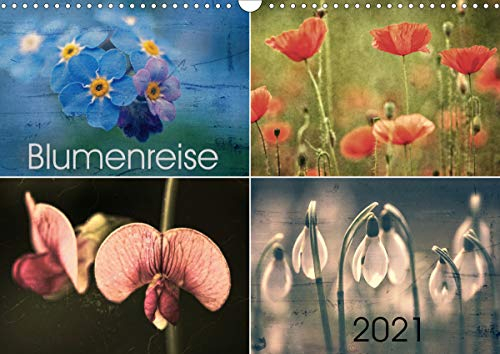 Blumenreise 2021 (Wandkalender 2021 DIN A3 quer): Eine bunte Reise durch die Welt der Blumen und Blüten (Monatskalender, 14 Seiten ) (CALVENDO Natur)