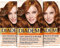 Diadem Schwarzkopf Seiden-Color-Creme, hochwertige Haarfarbe 721 Herbst-Gold, 3er Pack (3 x 170 ml)
