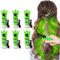 Color de cabello temporal verde