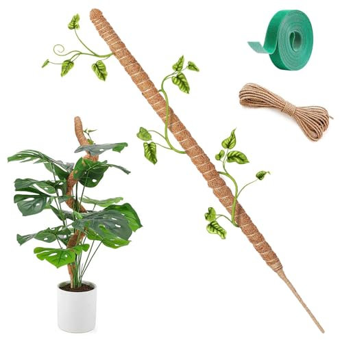 Herbst 120 cm Monstera Rankhilfe, Pflanzstab Biegsame Moss Pole Kokosstab Monstera mit 4m Fixseil, Moosstab für Monstera aus Natürlicher Kokosfaser