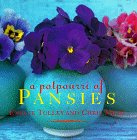 A Potpourri Of Pansies
