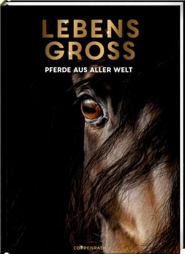 Lebensgroß: Pferde aus aller Welt: 12 beeindruckende Tierporträts mit einzigartigen Illustrationen in Lebensgröße, ab 7 Jahren