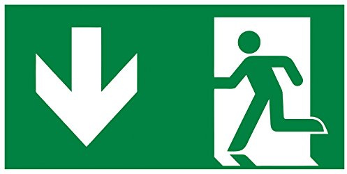 Connex DY220862 Nachleuchtendes Hinweisschild Zoll Notausgang unten“, 300 x 150 mm nach DIN 67510 gefertigt