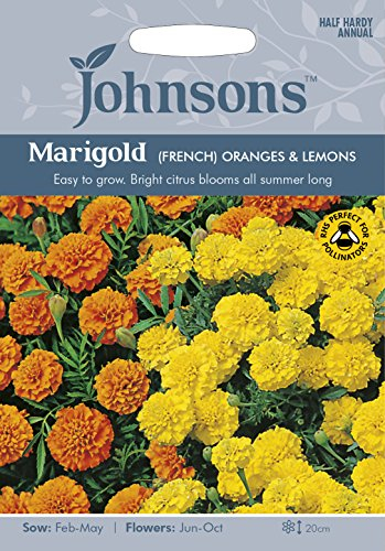 Johnsons 24026 Flower Seeds, Marigold (French) Oranges and Lemons, Mixed