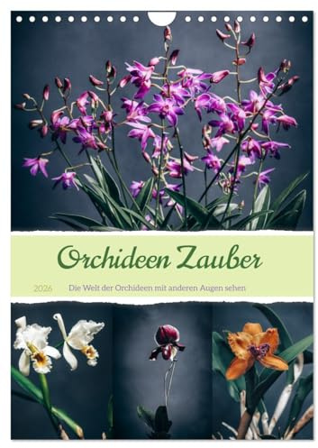 Orchideen Zauber (Wandkalender 2026 DIN A4 hoch), CALVENDO Monatskalender: Die Gattung der Orchideen sind eine weltweit, verbreitete Pflanzenfamilie. (CALVENDO Natur)
