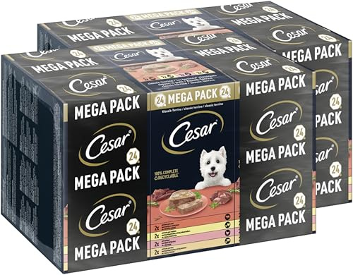 CESAR® Schale Multipack Klassik-Terrine 4 Varietäten Mix 2 x 24 x 150g