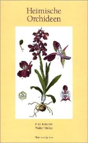 Heimische Orchideen: Abbildungen der in Deutschland und den angrenzenden Gebieten vorkommenden Grundformen der Orchideen-Arten