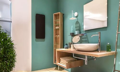 Lineabeta - Radiador eléctrico de pared (29 x 9,6 x 79 cm) | Serie Caligo, de acero, fácil de instalar, estilo moderno, fabricado en Italia, color antracita - mate