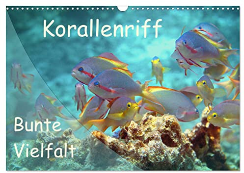 Bunte Vielfalt im Korallenriff (Wandkalender 2026 DIN A3 quer), CALVENDO Monatskalender: Farbexplosion im Korallenmeer! (CALVENDO Natur)
