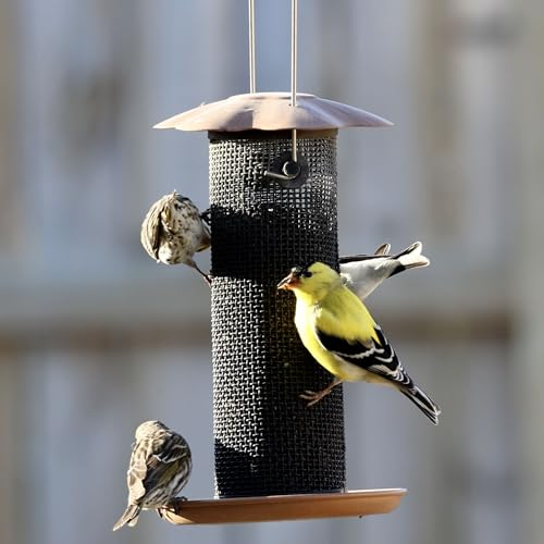 Songbird Essentials Goldfinken-Futterstation zum Aufhängen im Freien – Petite Nyjer Distel Samen-Futterstation – Ganzmetall – für Finken und Wimpelketten für den Garten im Freien – Gebürstetes Kupfer