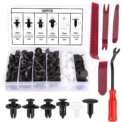 Flyicloud Rivetti in Plastica per Auto, 125Pcs Clip Fissaggio Auto con 5 Strumenti Rimozione Fissaggio, Clip di Viti di Plastica Assetto, Auto Kit per Carrozzeria Interni