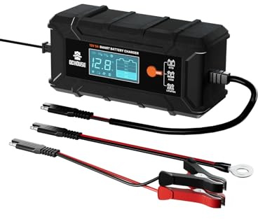 DCHOUSE 5 Amp 12V Lithium Battery Charger, 12V Smart Trickle Charger for Car Motorcycle, Automotive Battery Maintainer and Desulfator for Lead Acid LiFePO4 Battery.