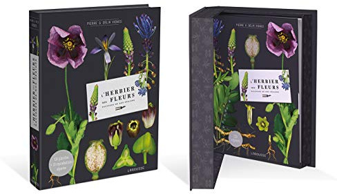 L'herbier des fleurs sauvages de nos régions