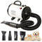 Hundefön Hundetrockner 2800W Hunde Blower Hundefön Sehr Leise, Profi Hundeföhn Einstellbare Geschwindigkeit und Wärme, Hundepflege-Trockner-Gebläse Pet Dryer Blower Hund mit 4 Verschiedenen Düsen Weiß