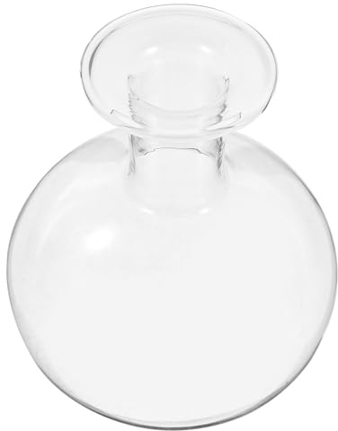 ZUNOXAZ Florero Vintage de Vidrio Transparente para Flores Secas y Decoración de Mesa Jarrón Hidropónico Pequeño para Oficina y Hogar Centro de Mesa Versátil para Plantas y Flores