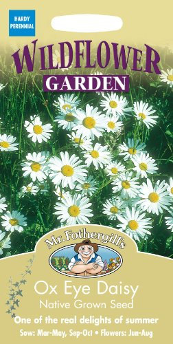 Mr Fothergills - Pictorial Packet - Wildflower - Ox Eye Daisy - 750 Seeds