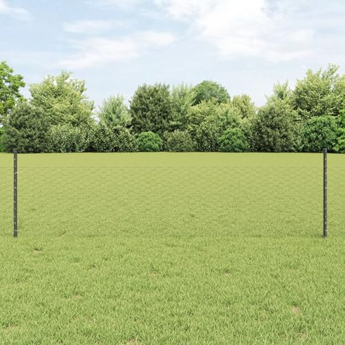 vidaXL Clôture hexagonale avec poteau 25 x 0,5 m Gris Maille, Panneau de clôture moderne pour jardin et terrasse, intimité extérieure, barrière anti-UV personnalisée