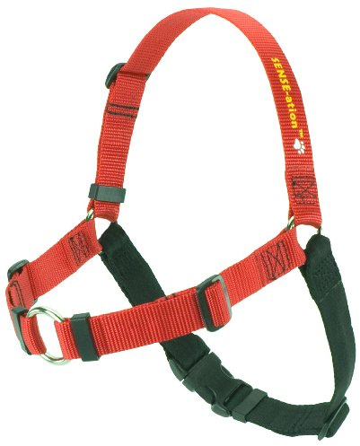 Erziehungsgeschirr für temperamentvolle Hunde – Das SENSEation Harness Erziehungshalsband für Hunde, die stark an der Leine ziehen – Anti Zieh Garantie! (Rot, L 2.5cm)