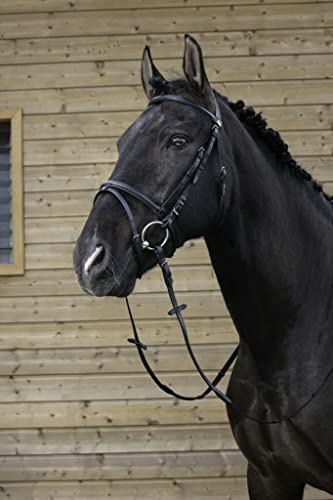 Riding World Trensenzaum schwarz Cob bzw VB