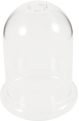 IMIKEYA Vase Verre Transparent pour Plantes Cloche Décorative Verre Accessoire pour Micro-Paysage