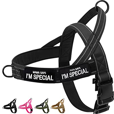 Eeyfarog No Pull Hundegeschirr für kleine mittelgroße Hunde, reflektierend ausbruchsicher verstellbar ohne Zug, Hundegeschirr (Schwarz, M)