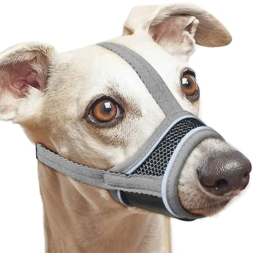 Maulkorb für Kleine und Mittlere Hunde, Atmungsaktive Haustier Maske Hundetraining, Maulkorb mittlere Hunde, XS