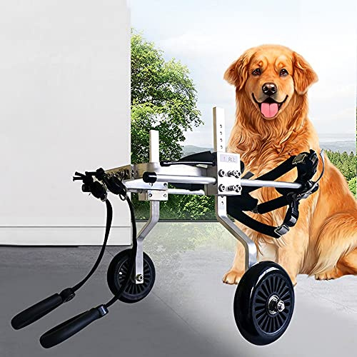 HXSM Due Ruote Sedia A Rotelle per Cani Carrello per Animali Domestici Regolabile Gambe Posteriori Riabilitazione Carrellino Scooter per Cani Disabili Peso Leggero (XXXS-XXL 1-60 kg)