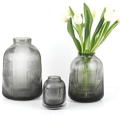 HAWILLOSCH Glasvase Im Nordischen Stil Wasserpflanzenvase Blumenarrangement-dekor Trockenblumentopf Vertikale Streifen Kleine Robustes Glas
