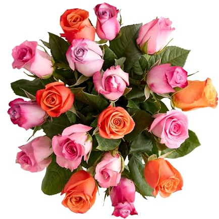 1800 Flowers – 18 Stem Assorted Sorbet Roses (Bouquet Only) | Fresh Cut Spring Flowers for Delivery | Gift for Easter, Anniversary, Sympathy, and Special Occasions